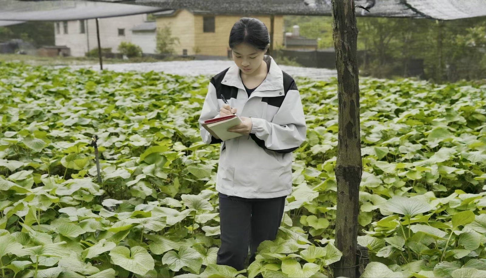 太上头了🤤,这个蘸料经管人研发的! 第 4 张 太上头了🤤,这个蘸料经管人研发的! 第 4 张