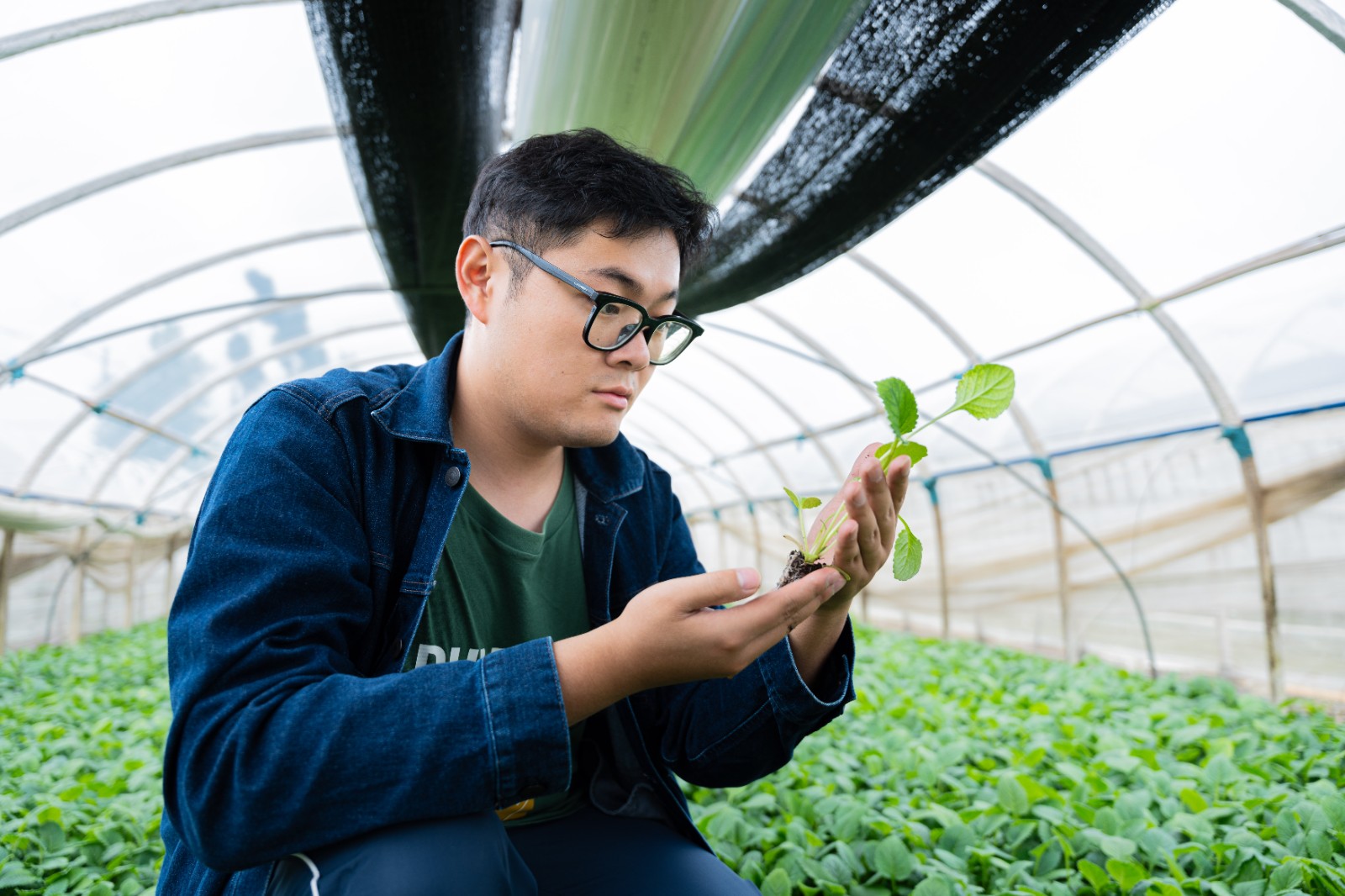 云经管“续而不断”团队斩获中国国际大学生创新大赛总决赛银奖！ 第 3 张