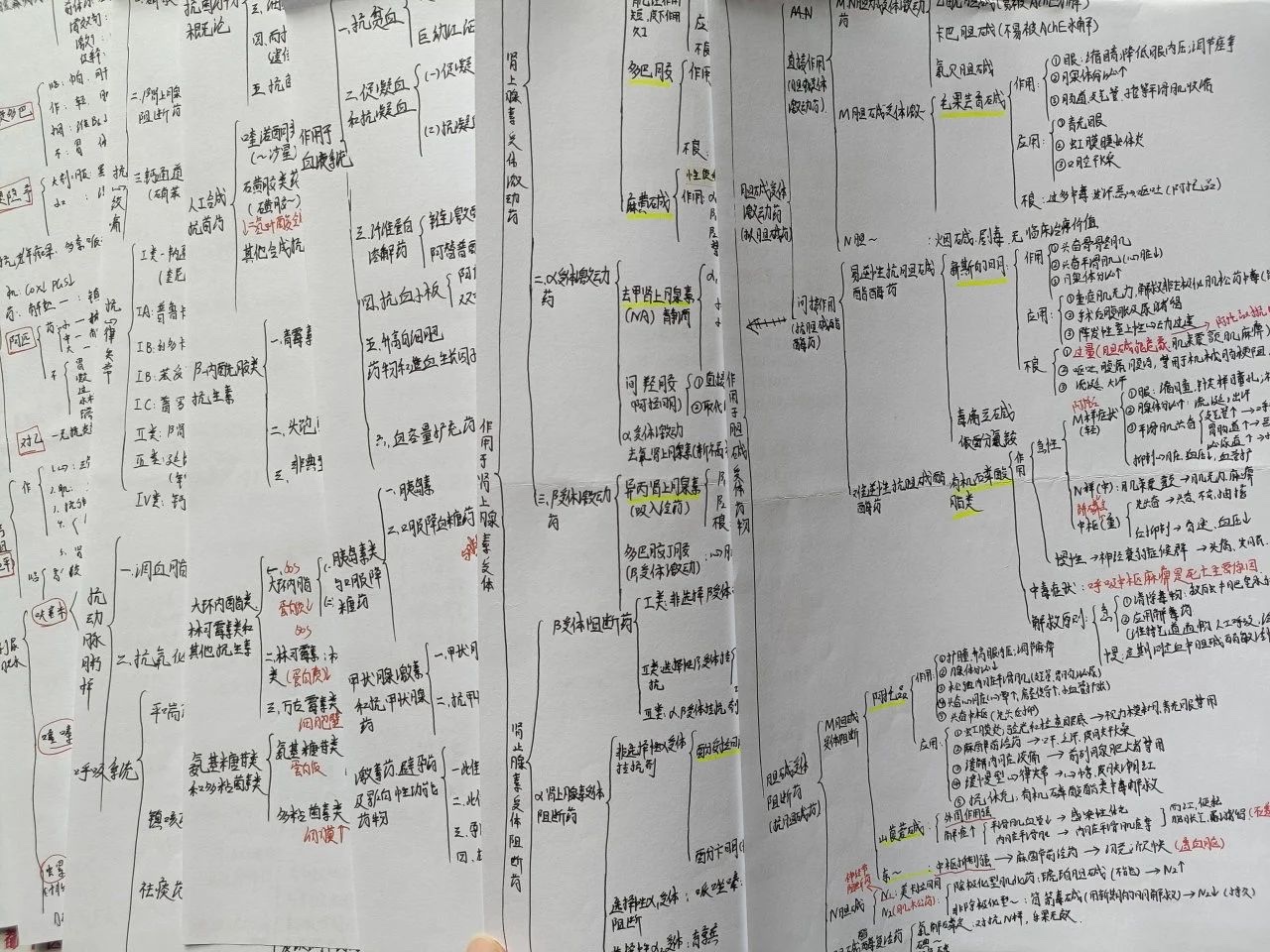 “偏要考上！”她做到了‼️ 第 11 张