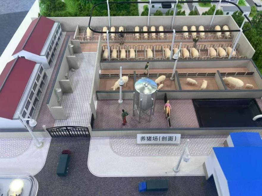 图片 3.png 图片 3.png