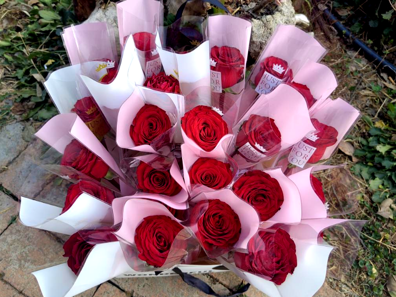 屏幕截图 2026-03-11 202313.png 屏幕截图 2026-03-11 202313.png