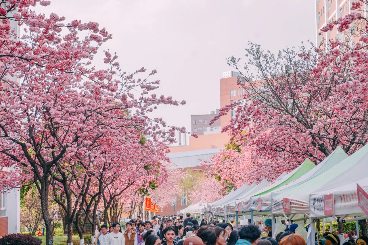 cd215c3ec8b476a3816571b17c145276.jpg cd215c3ec8b476a3816571b17c145276.jpg